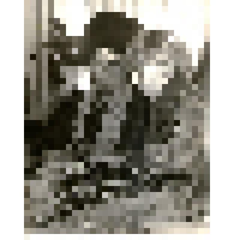 Фотография. Занятия ведет Надежда Антоновна Литовченко, руководитель кружка Семикаракорского дома пионеров