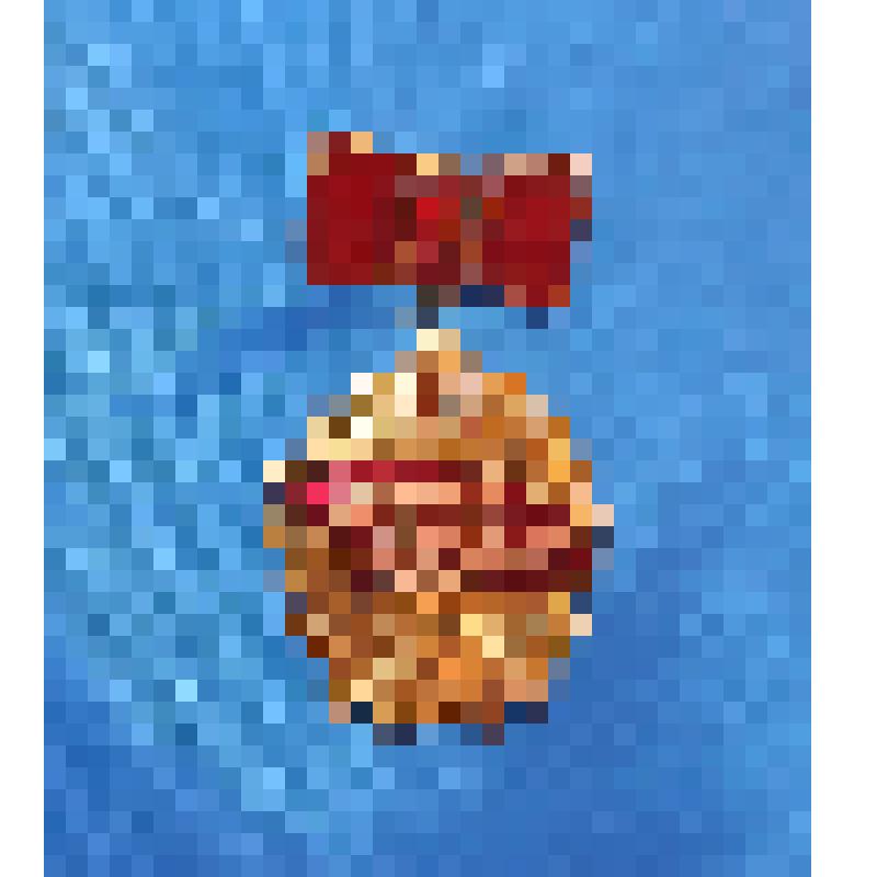 Знак нагрудный  «Победитель социалистического соревнования 1975 года»