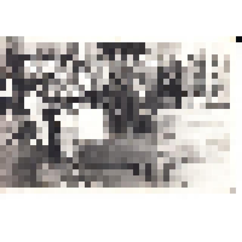 Фотография. Праздник 1 сентября в Семикаракорской средней школе