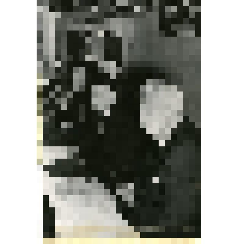 Пресс-конференция в информационном центре ООН