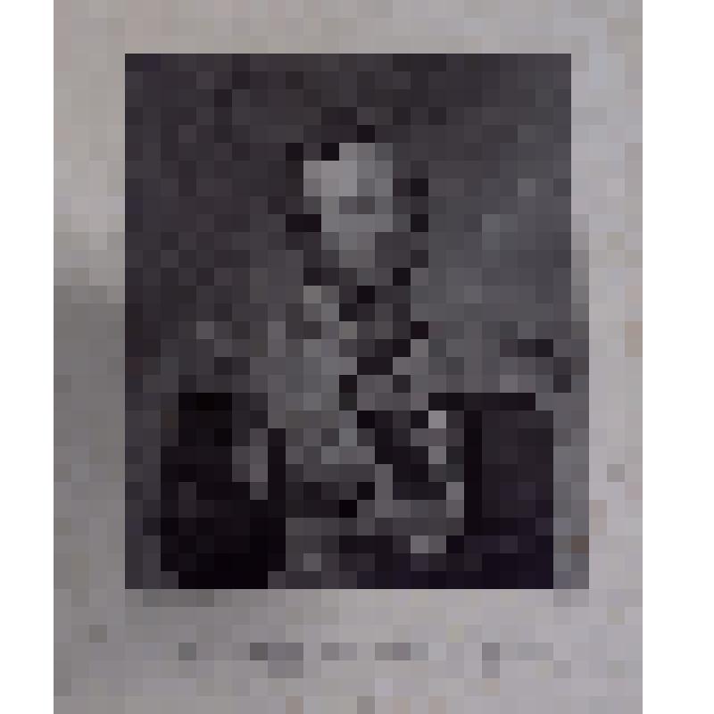 Графика. Портрет фельдмаршала, князя Варшавского, графа Ивана Федоровича Паскевича-Эриванского