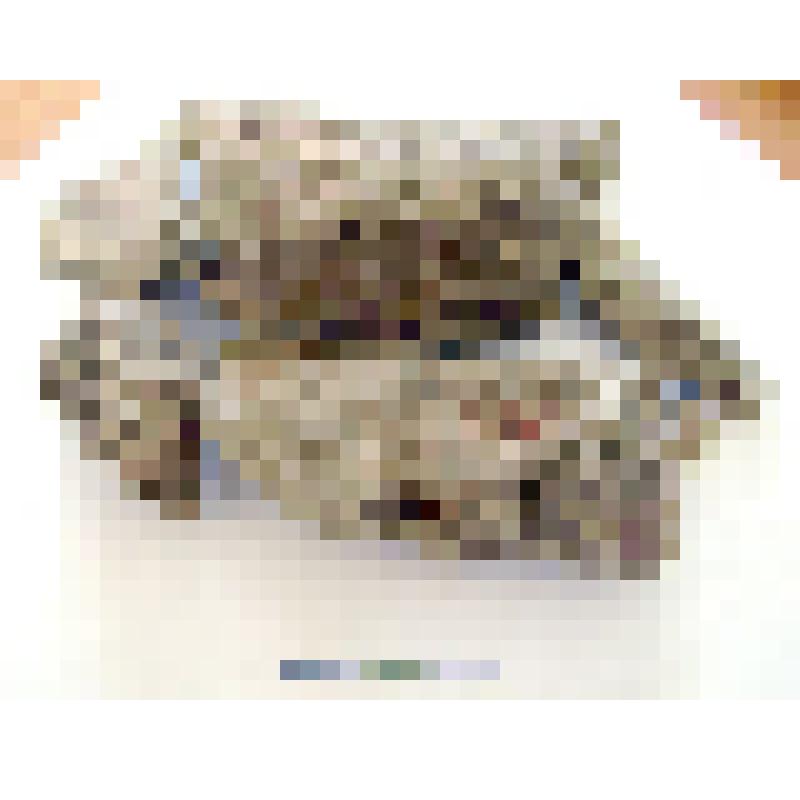 Кость человека