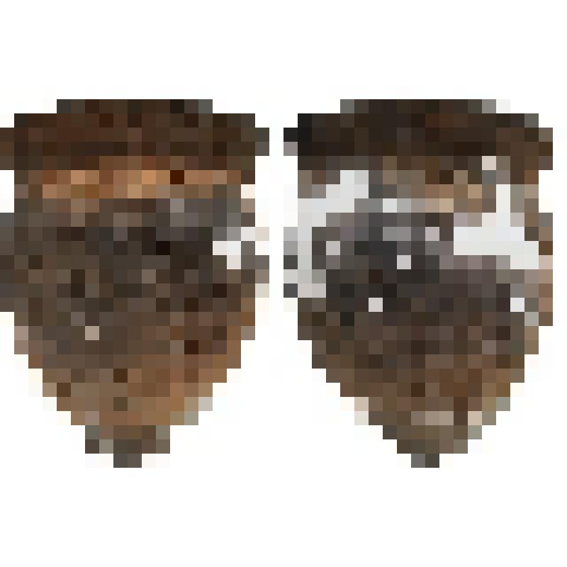 Сосуд вазовидный