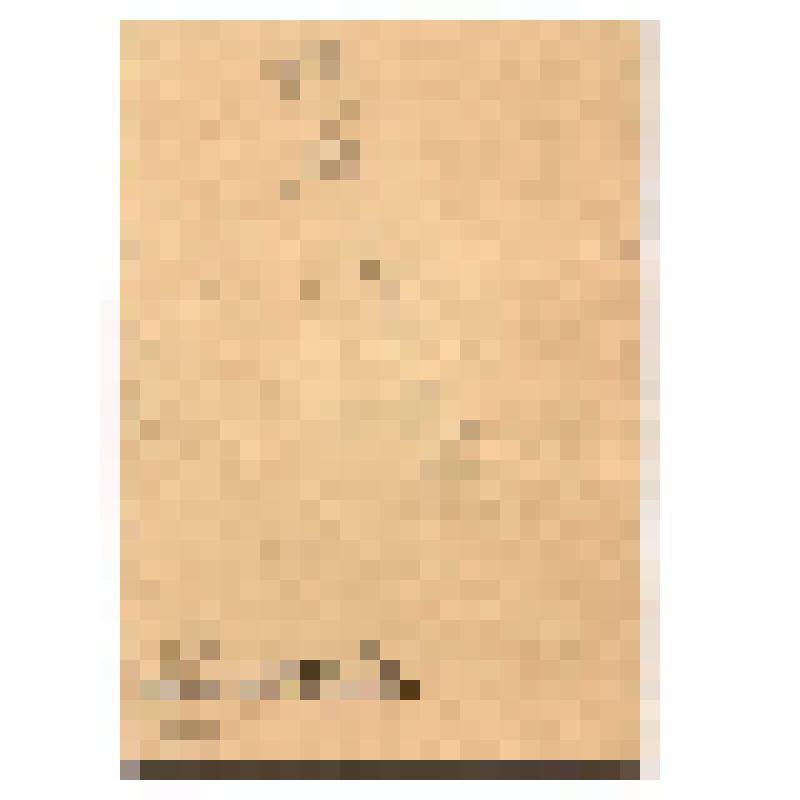 Санаторно-курортная книжка № 007872 Бессоновой М.А., выданная курортом "Усть-Качка" в 1977 г