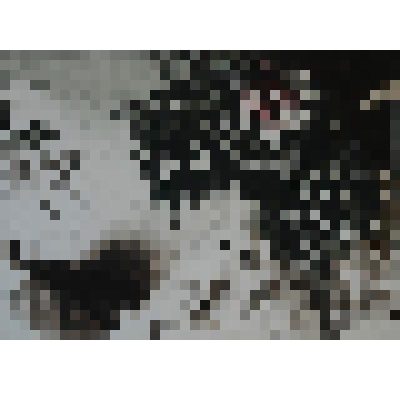 "Завтра' 03-IV