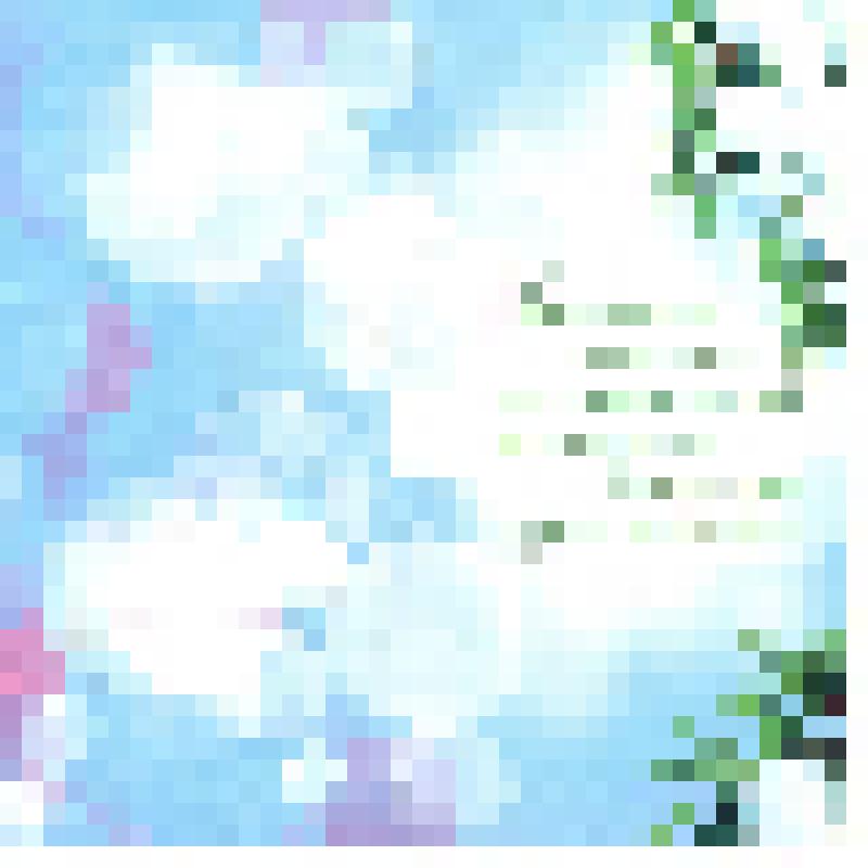 Открытка двойного сложения. С Новым годом!