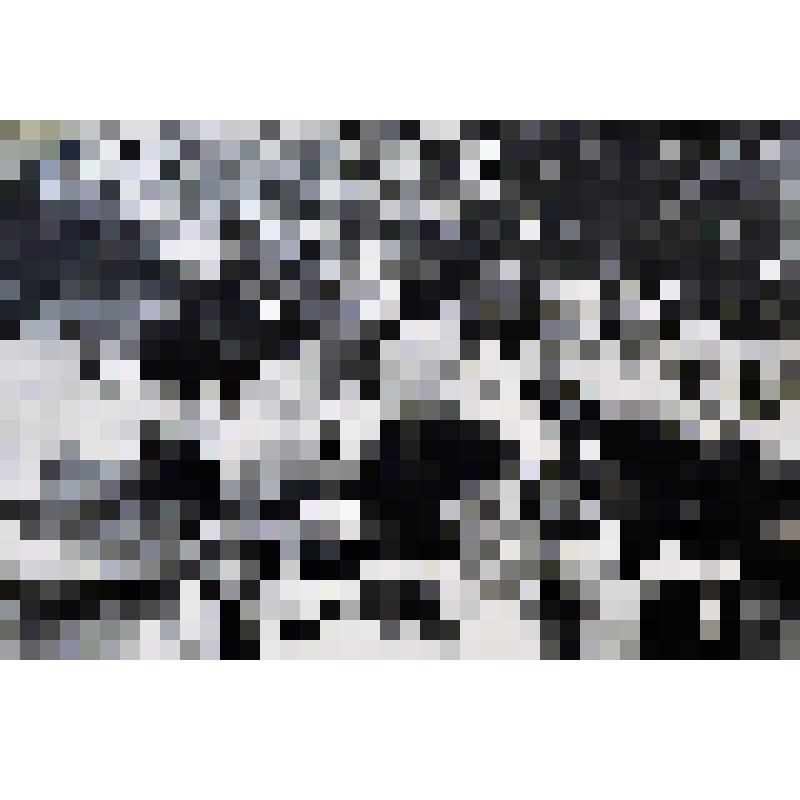 Фото. Гостей из Чехословакии приветствуют юные граждане колхоза им.К.Готвальда