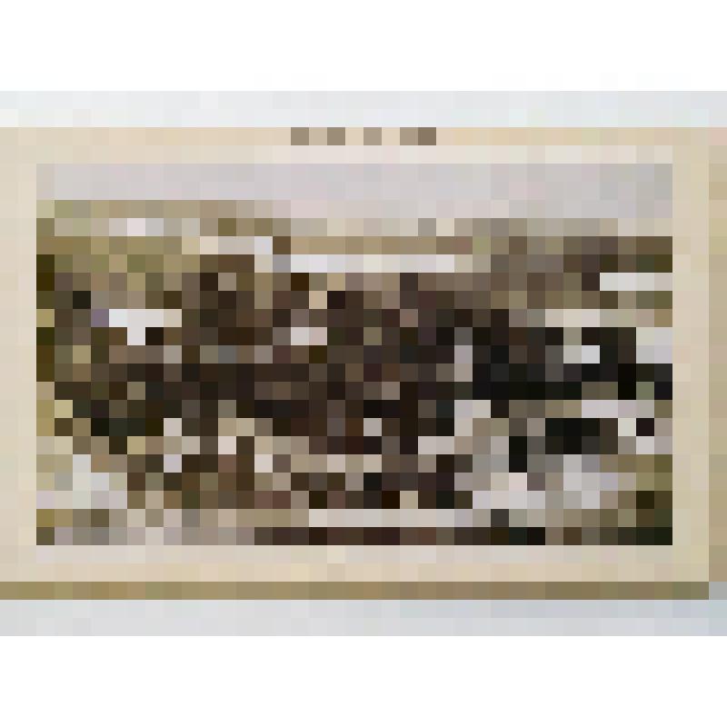 Аскольдова могила. 1810 г. Украина, г. Киев. Аскольдова могила. из альбома. Меленский; Юрченко. Общий вид ансамбля. Издатель не указан