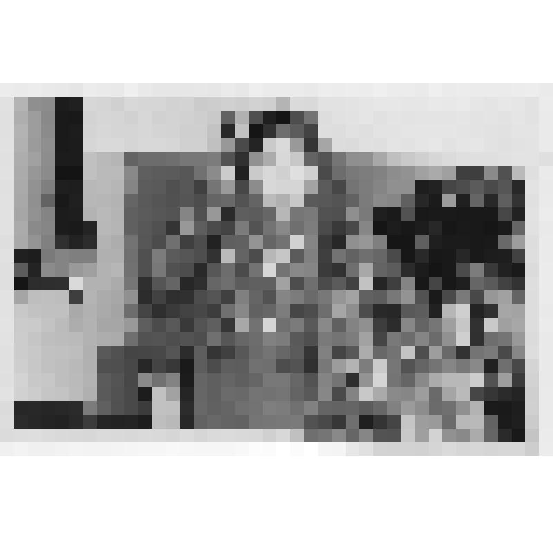 Фотография чёрно-белая "Пимнева Екатерина Петровна в музее на вечере"