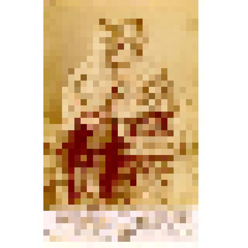 Фотография. Мальчик и девочка - [дети А.П.Михайлова]
