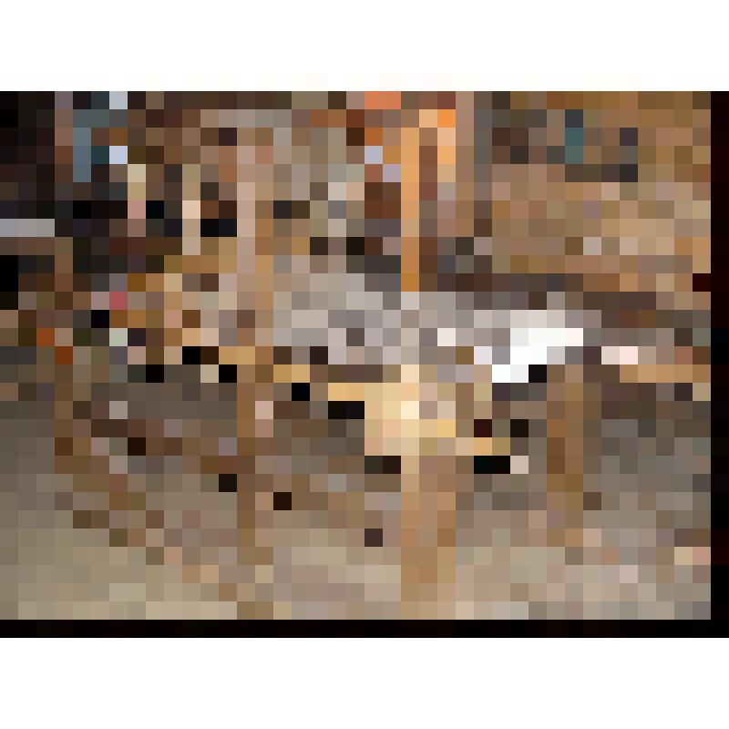 Костыльки
для  ткацкого  станка