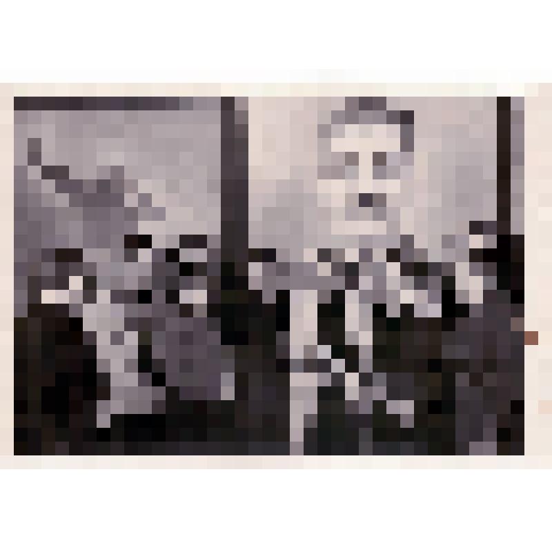 К.И. Кирсанова