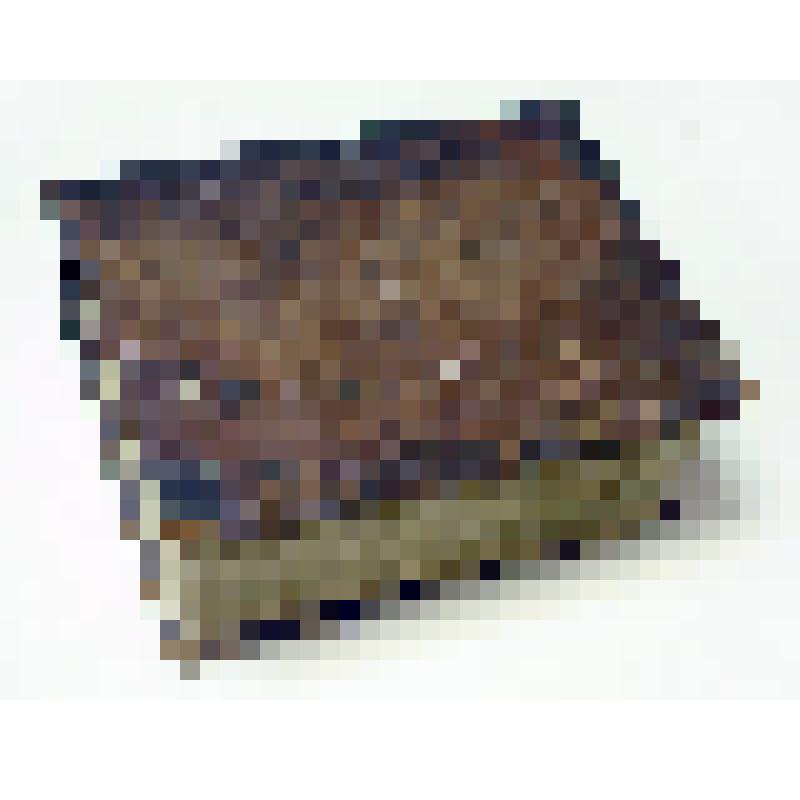 Книга старопечатная "Каноник" (с рукписным дополнением)