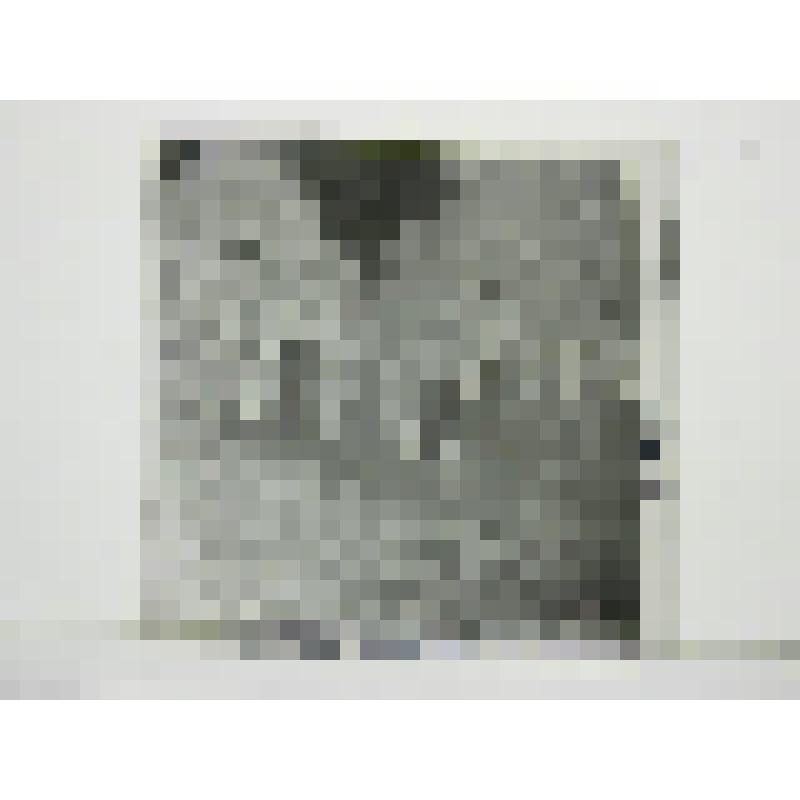 "Детский домик". Усадьба Мураново. кон. XIX в. Московская обл., Пушкинский р-н, Мураново. "Детский домик". Усадьба Мураново. кон. XIX в. Фонарики (найдены на чердаке)