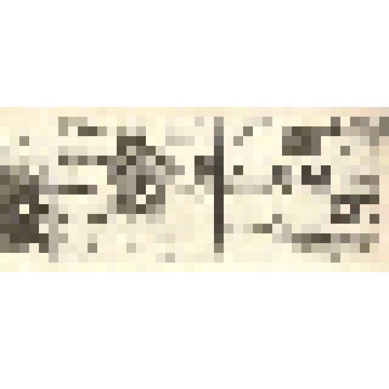 Фотокопия вырезки из газеты "Московские ведомости", 1899 г., № 260 со статьей А. Басаргина "Поэт примерного страдания. По поводу 75-летия со дня рождения Никитина". Лист 1