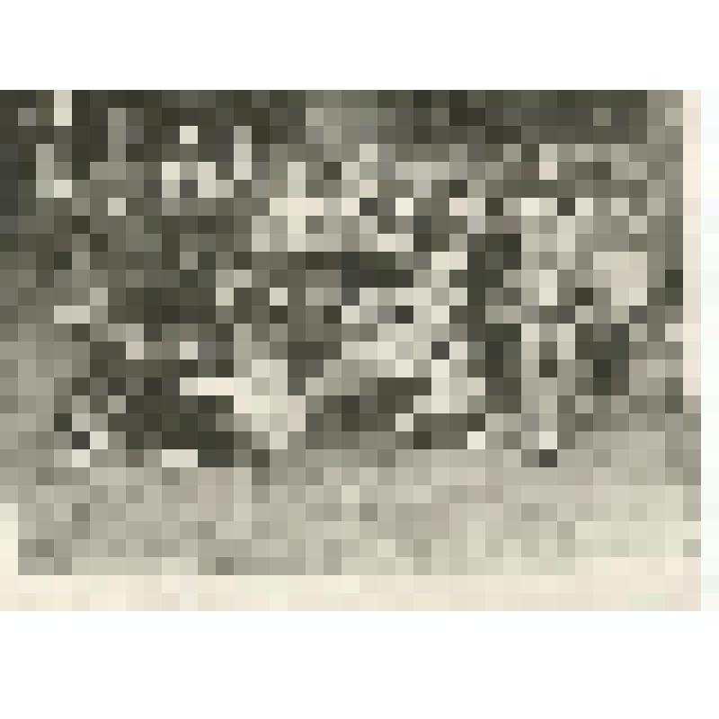 Фотография черно-белая. Москалева Клавдия Михайловна в пионерском лагере "Орбита"