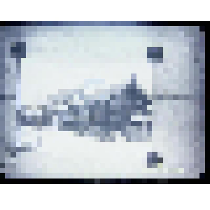 Негатив. Пермяцкий дом в д. Легаево. Репродукция фотоснимка кон. XIX в