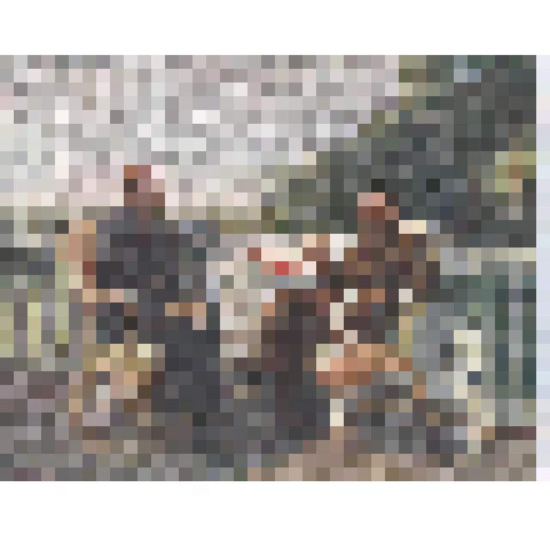 Почтовая карточка. В. И. Ленин и А. М. Горький