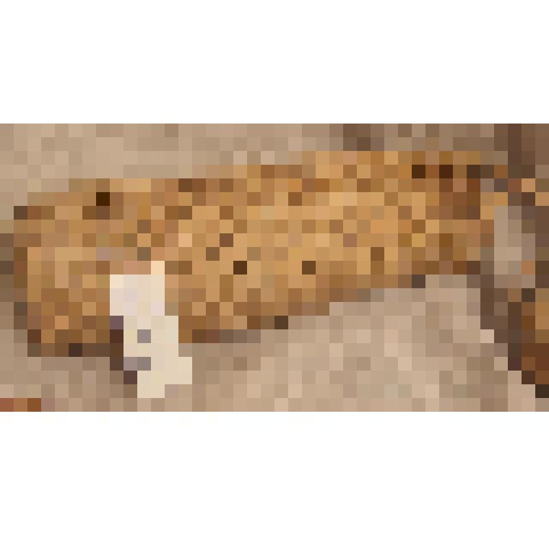 Лапоть марийский женский, из коллекции бытовых вещей из этнографической экспедиции Саратовского областного музея краеведения в сентябре 2006 года в Питерский район