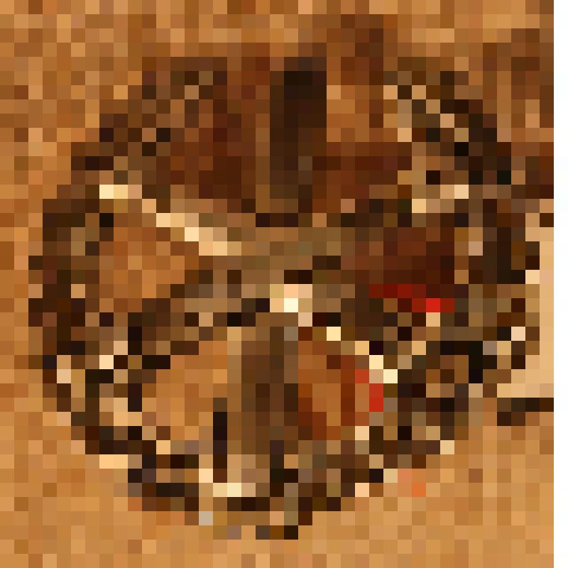 Эмблема ракетных войск и артиллерии Вооруженных Сил РФ для ношения на предметах полевой формы одежды, из коллекции эмблем родов войск Вооруженных Сил СССР и РФ, форменных пуговиц и погон военнослужащих Советской и Российской армии