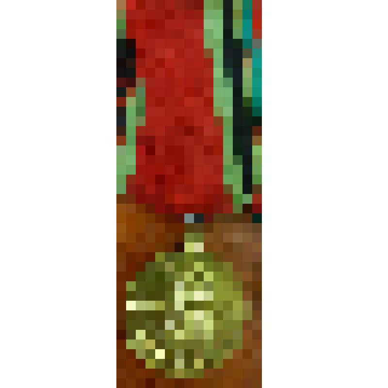 Медаль юбилейная  «Двадцать лет Победы в Великой Отечественной войне 1941—1945 гг.»