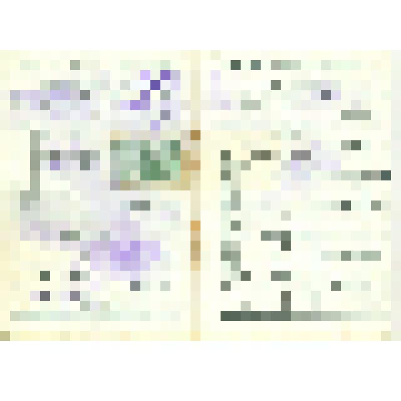 Страховое удостоверение №297667 Моисеенко Е.М. Дата выдачи 17 июня 1941г