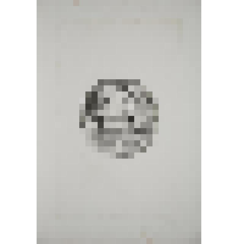 Яблоко. Гравюра