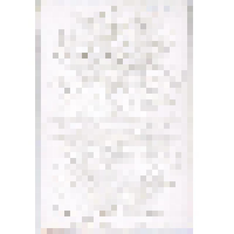 Фотография. Кулябко А.А., русский физиолог