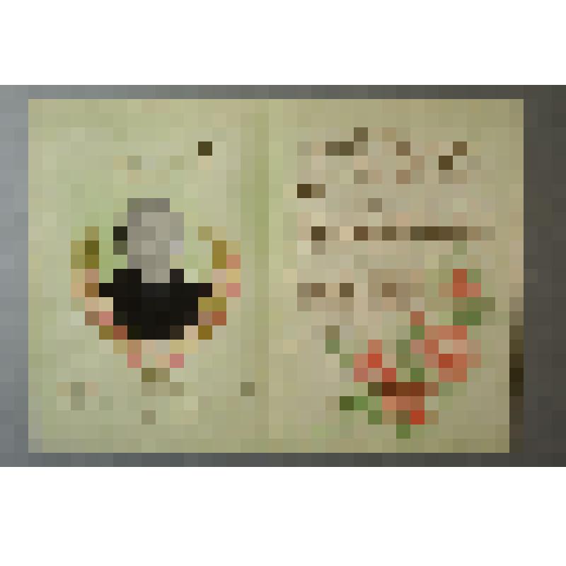 Поздравительный адрес Н.В. Образцовой от коллектива клуба "Муза"