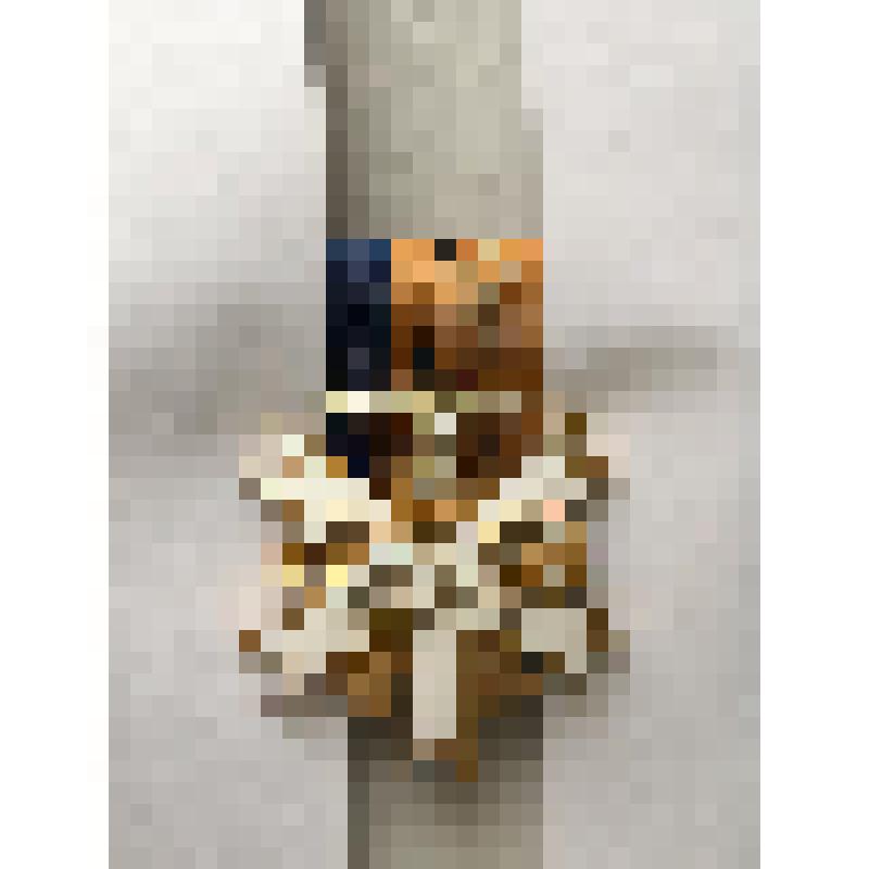 Олимпийский знак отличия 2-го класса