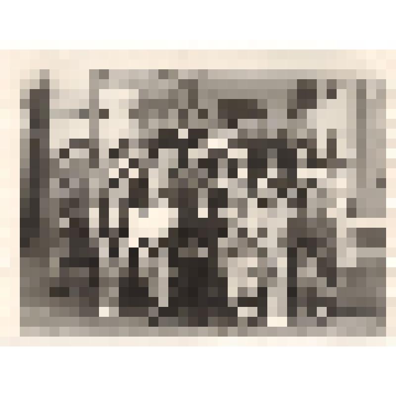 Фото. Выпускники группы "Г" Глазовского государственного педагогического института им. В.Г. Короленко