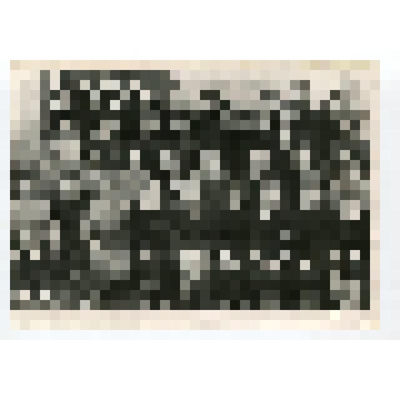 Фото групповое. Учащиеся 8 класса Шаховской средней школы