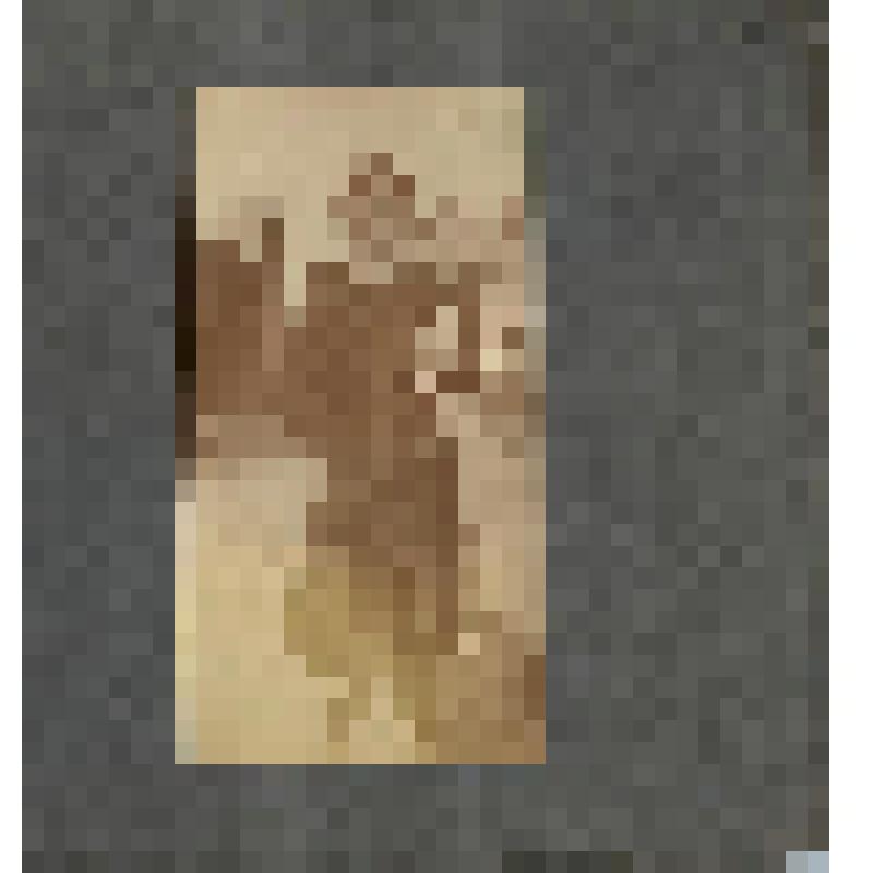 Лист из фотоальбома. Фотоальбом Н. Н. Кудаш, в замужестве Жаровой. Годы учебы в русской гимназии в Моравской Тршебове. Лист 3. Фотопортрет Н.Н.Жаровой в полный рост с книгой в руке. На обороте - трое неизвестных на прогулке
 (