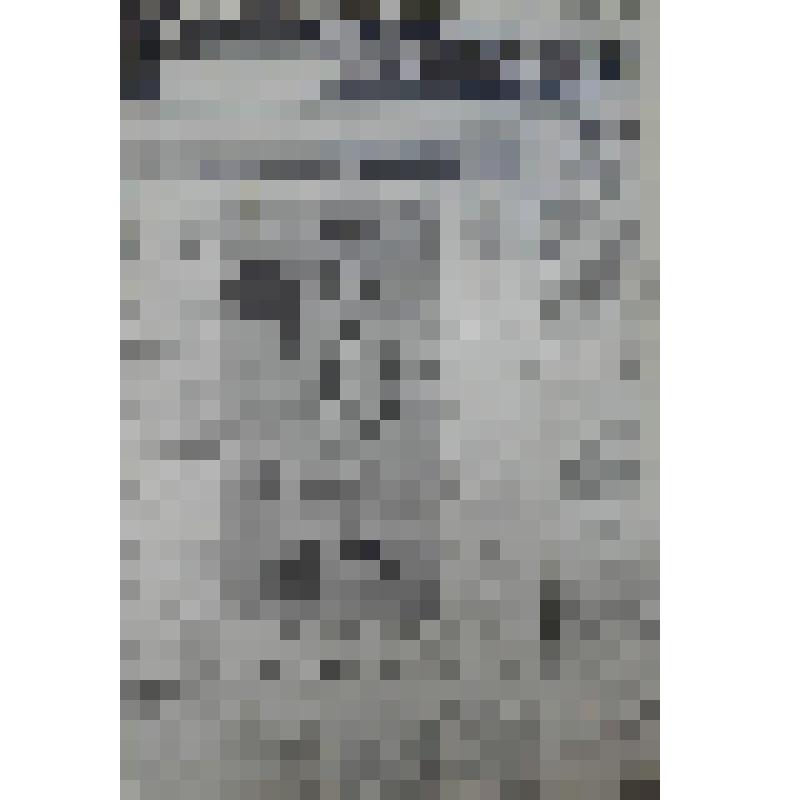 Газета "Рабочая трибуна" № 1 (5349) понедельник, 01 января 1996 года