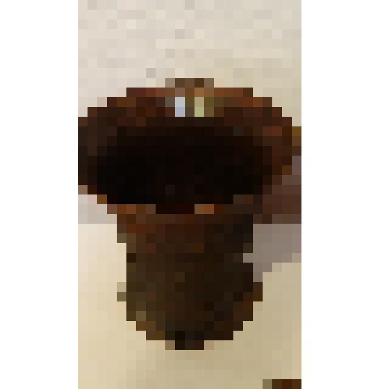 Ступа