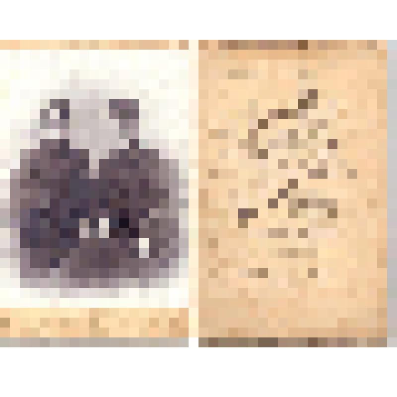 Портрет двух братьев - учащихся реального училища