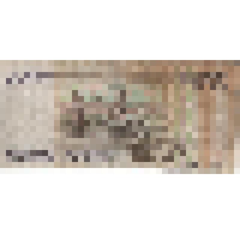 Билет Банка России    достоинством 1000 рублей. 1995 год