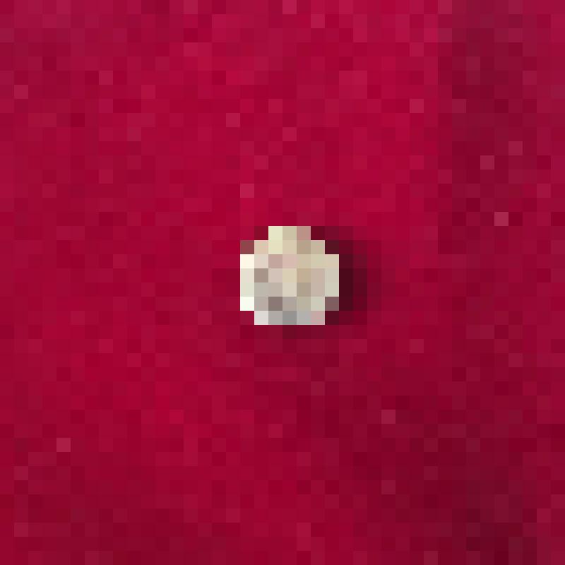 Пуговица