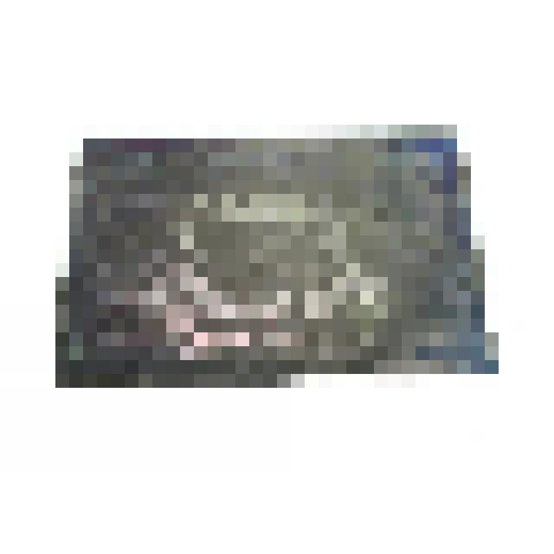 Клише рисунка чека Натурсоюза «Разум и совесть» (реверс)