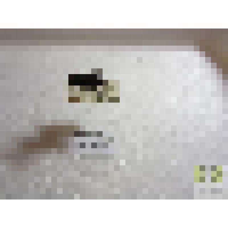 Афодий рыженогий (Aphodius rufipes L.)