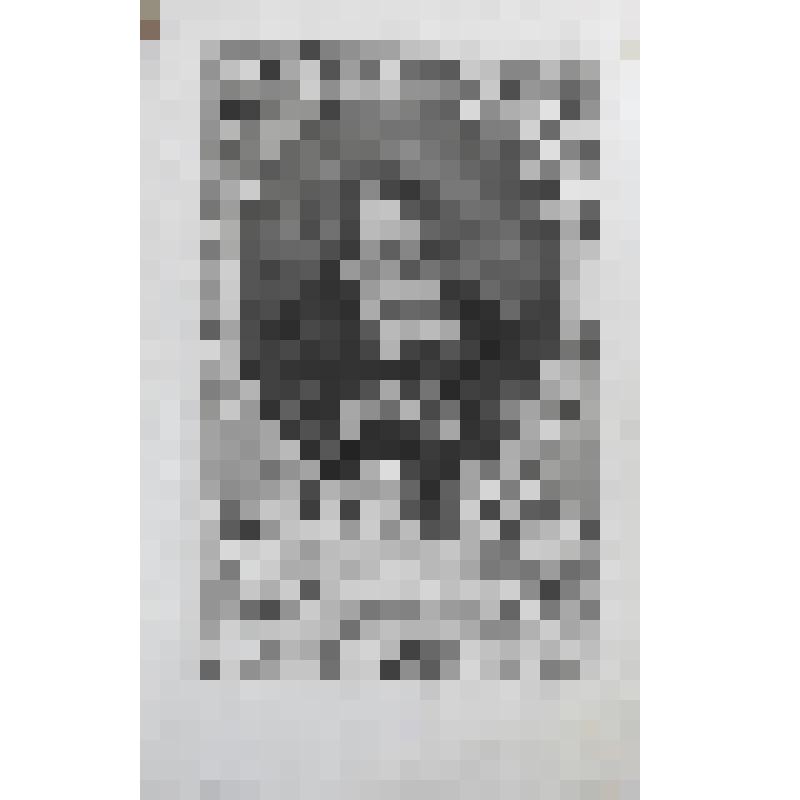 Портрет проповедника Хаака