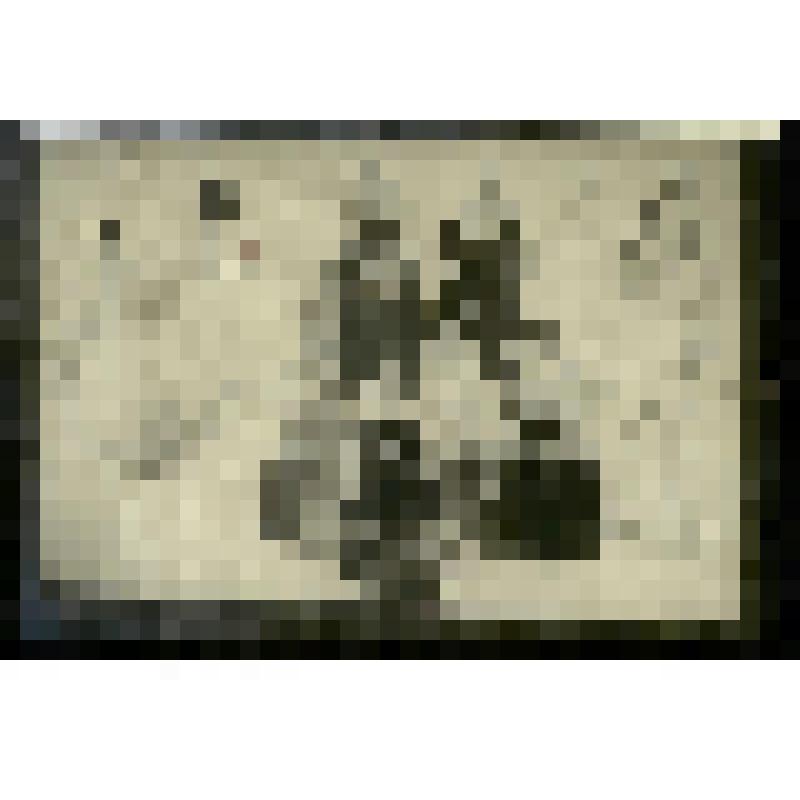 Фотография. Эскизы женских костюмов II и III актов. "Девичья башня". Азербайджан, Баку. Государственный театр оперы и балета им. М.Ф. Ахундова