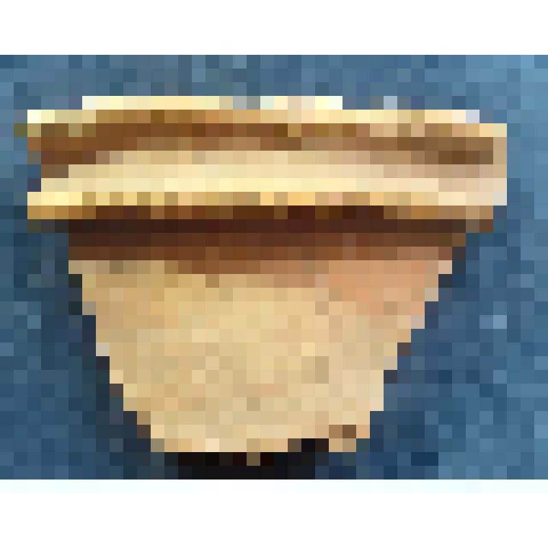 Фрагмент венчика лепного сосуда