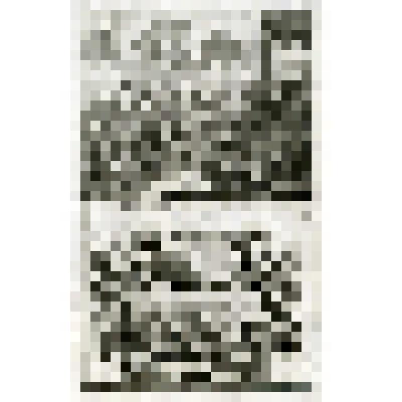 Офорт. Лист 89. Елисей приводит сирийское войско в Самарию (?). Четверо прокаженных из Самарии в стану сирийцев (IV Цар. 6, 7)