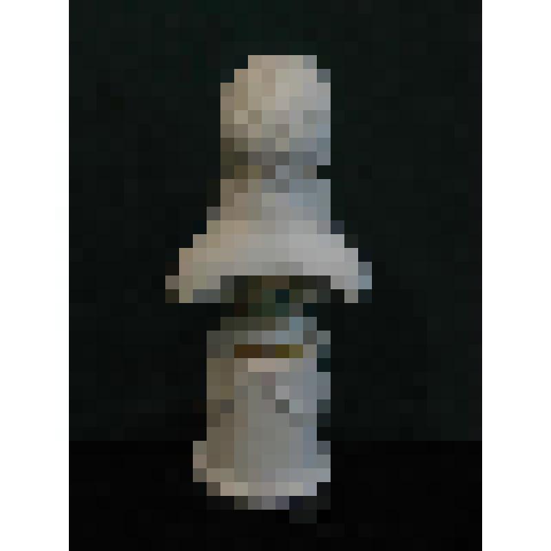 Портрет Наполеона Бонапарта, первого консула Французской Республики