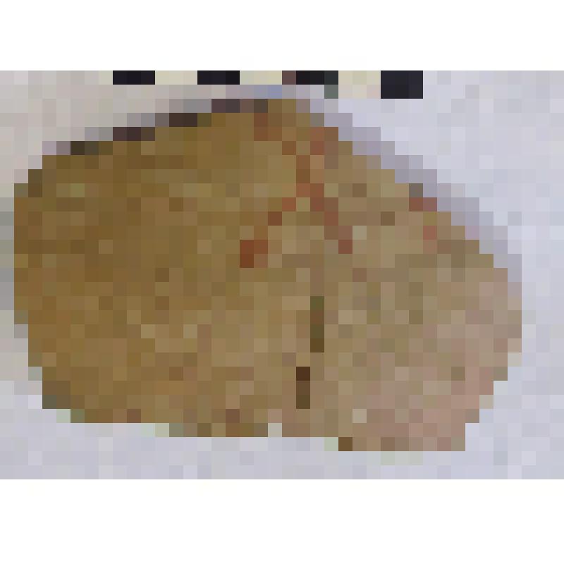 Фрагмент плеча с частью тулова амфоры типа D с дипинто