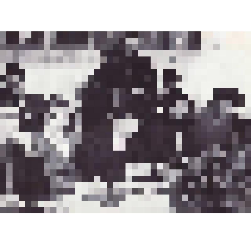 Фотография черно-белая. За круглым столом представители СМИ г. Братска. Из архива газеты «Знамя»