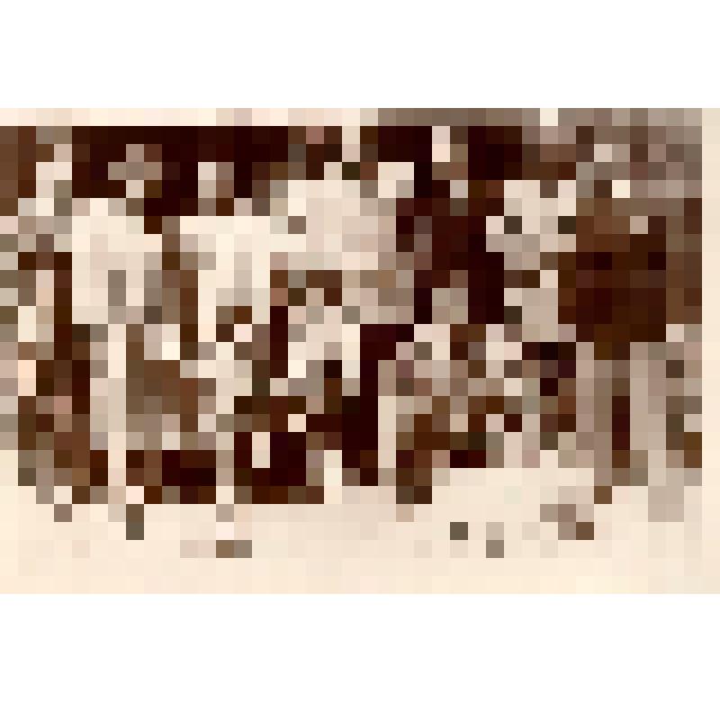 Фотография. Горький А.М. в группе родных и друзей