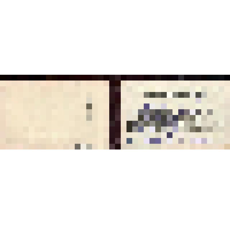 Членский билет N11 Семячкина П.П. - члена Выборгского РК ВКП(б)