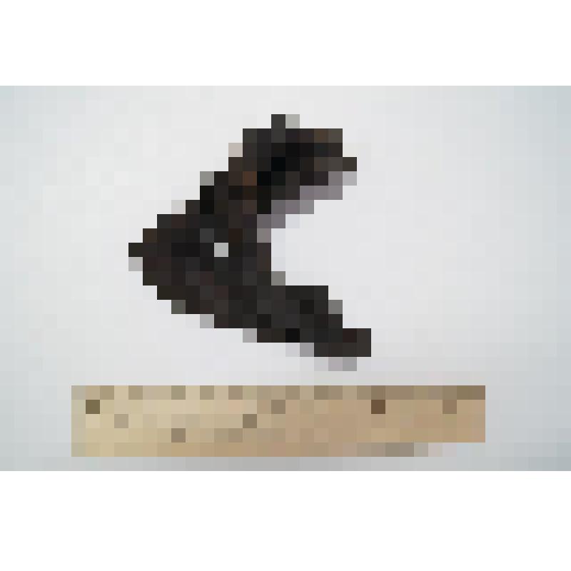 Кожаный сапог. Фрагмент